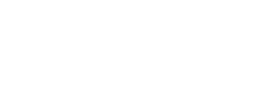 DSI Caraibes logo